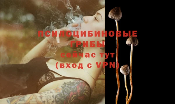 прущие крисы Алзамай