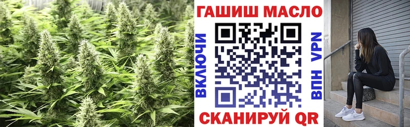 купить наркоту  Могоча  ТГК гашишное масло 