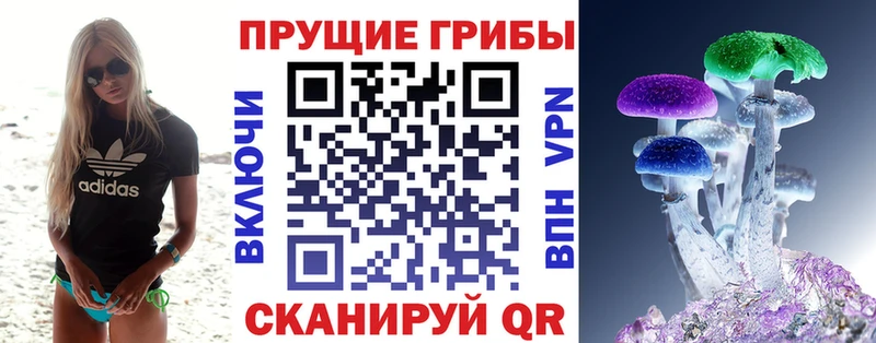 shop телеграм  Могоча  Псилоцибиновые грибы MAGIC MUSHROOMS 